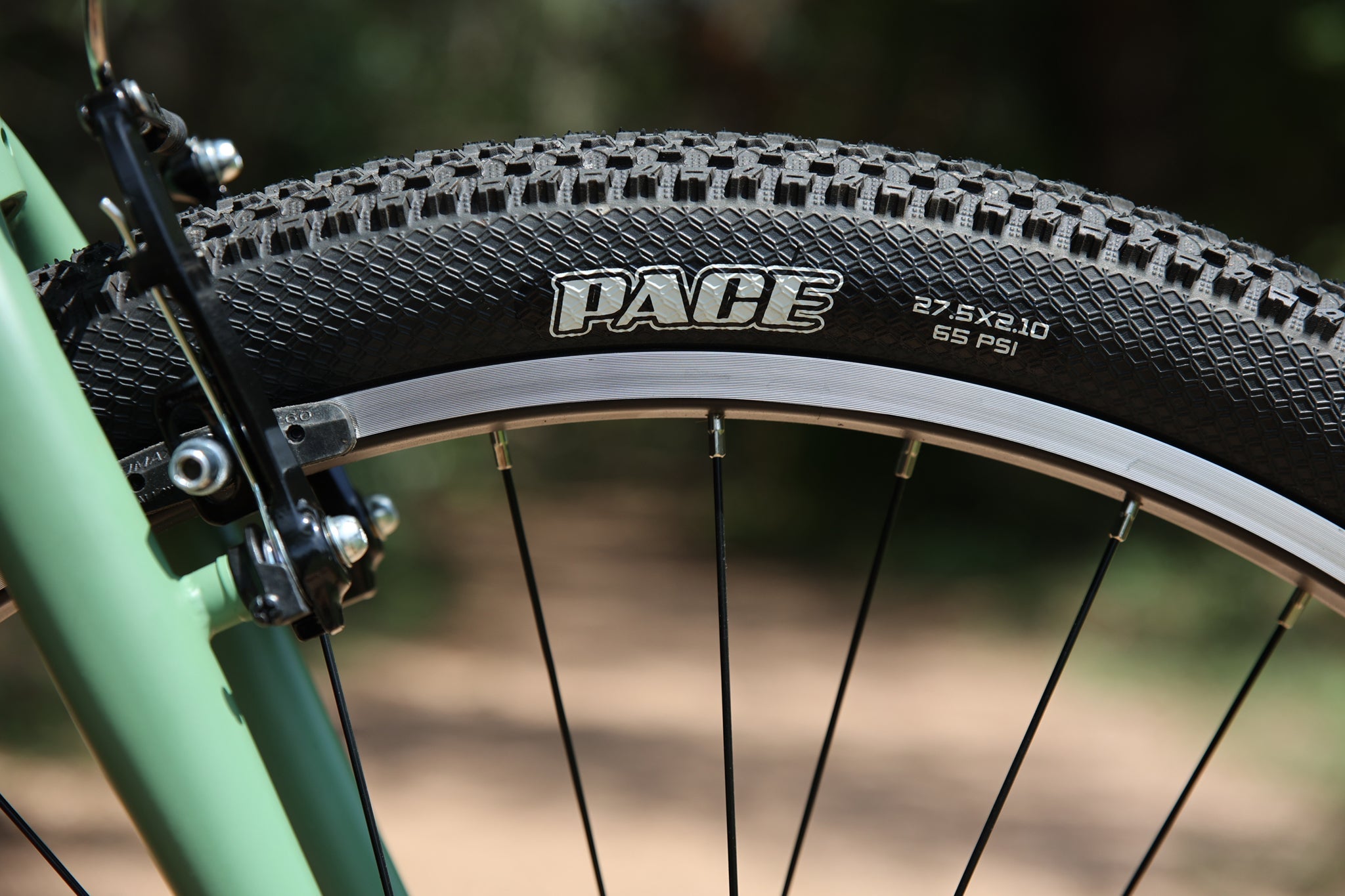 Ridgemont - Matte Sage Green