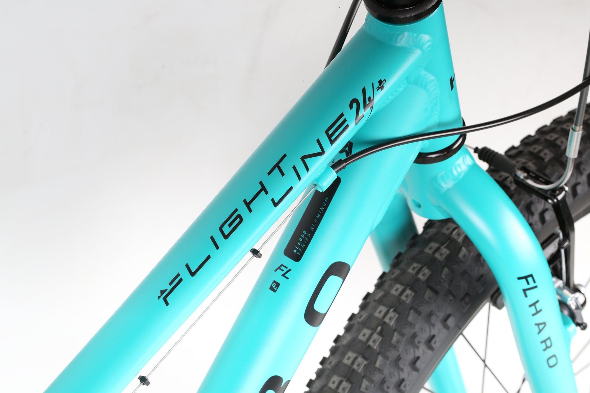 Flightline 24 Plus - Neon Fade